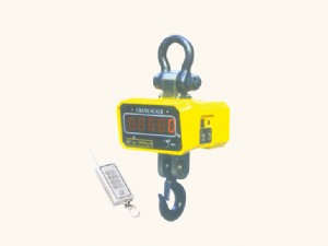無線數(shù)傳電子吊秤